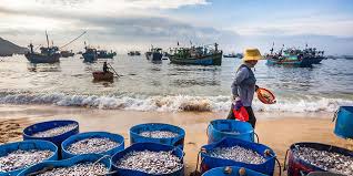 Sài Gòn - Phan Thiết 3 ngày 2 đêm